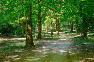 Setthorns Campsite, New Milton, Hampshire