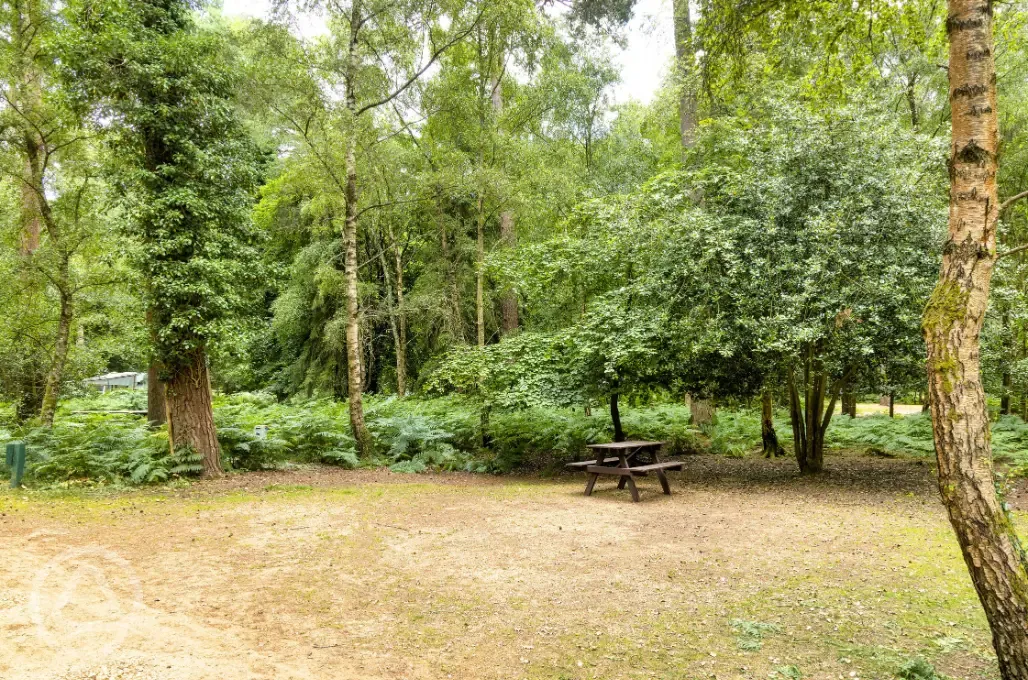 XL Electric hardstanding pitches (10.5m x 7.25m)