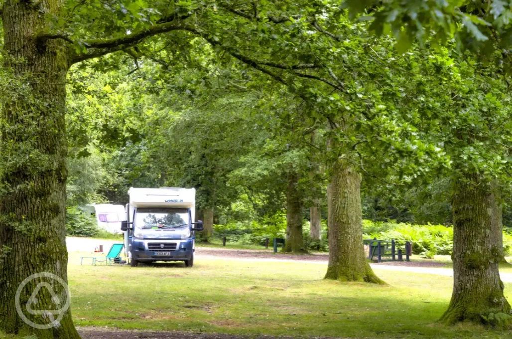 Motorhome on non electric grass pitches (8m x 5m)