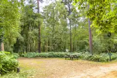 XL Electric hardstanding pitches (10.5m x 7.25m)