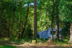 Non electric grass pitches for tents and touring units (8m x 5m) Non electric grass pitches for tents and touring units (8m x 5m)