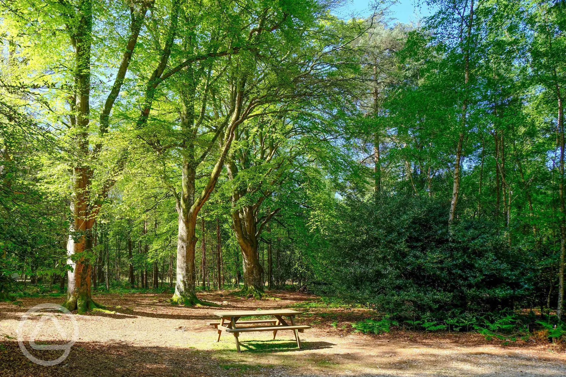 Picnic benches at Setthorns Campsite