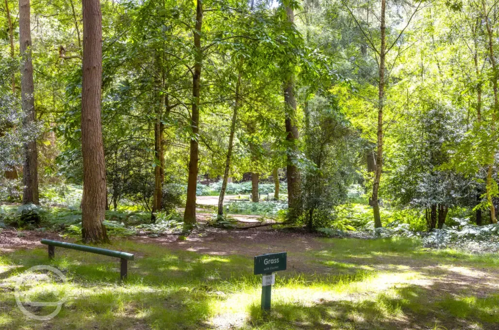 Electric grass pitches pitches for tents only (8m x 5m)