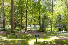 Electric grass pitches pitches for tents only (8m x 5m)