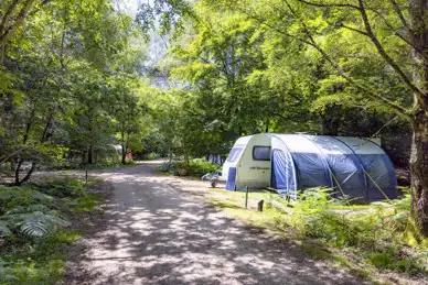 Setthorns Campsite