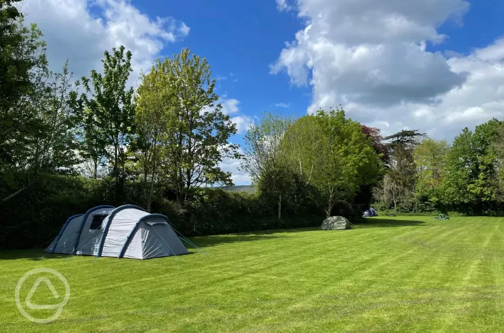 Non electric grass tent pitches