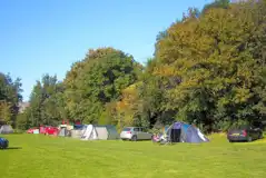 Non electric grass tent pitches at Cheddar Bridge Touring Park