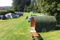 Camping field at Cheddar Bridge Touring Park with grass pitches and pods
