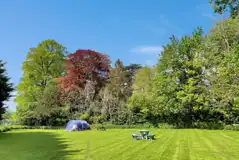 Non electric grass tent pitches (4m x 6m)