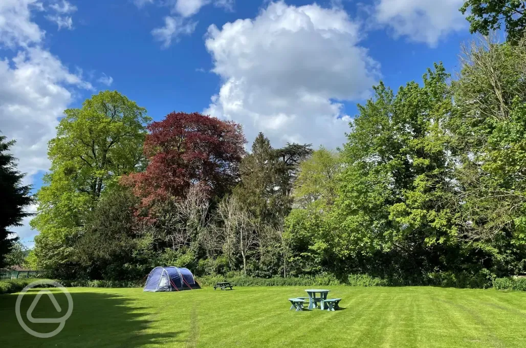 Non electric grass tent pitches