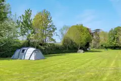 Non electric grass tent pitches (4m x 6m)