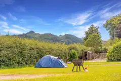 Grass pitches with 16 amp hook ups and fire pits to hire Grass pitches with 16 amp hook ups and fire pits to hire