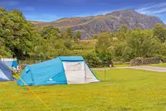 Electric grass pitches with 16 amp hook ups (5m x 5m) Electric grass pitches with 16 amp hook ups (5m x 5m)