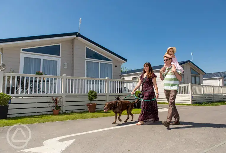 Dog friendly