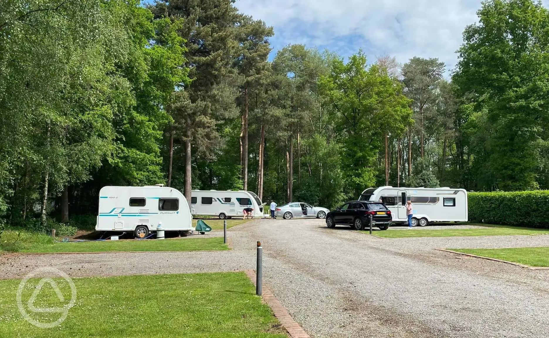 Electric hardstanding and grass pitches with a backdrop of forest trees