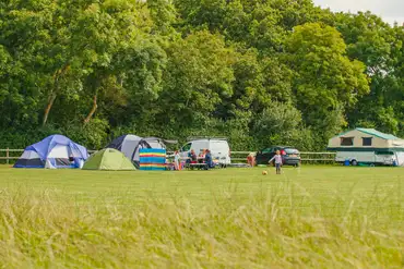 Tents on the lower meadow non electric camping pitches