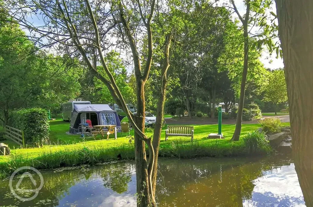 Grass riverside pitches