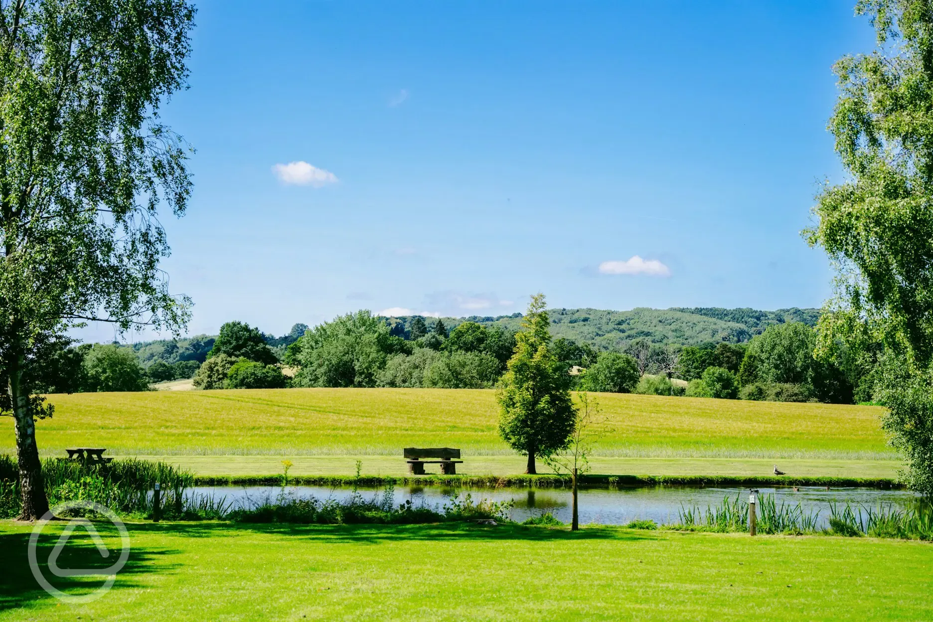 Lakeside views