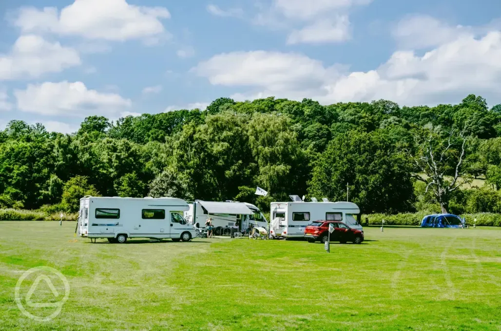 Grass pitches