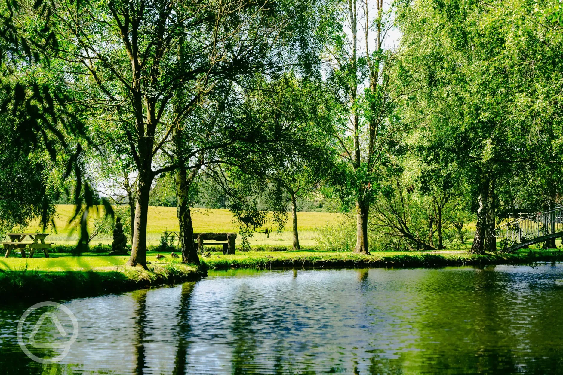 Lakeside Views