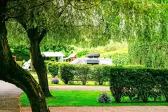 Electric hardstanding touring pitches with privacy hedging Electric hardstanding touring pitches with privacy hedging