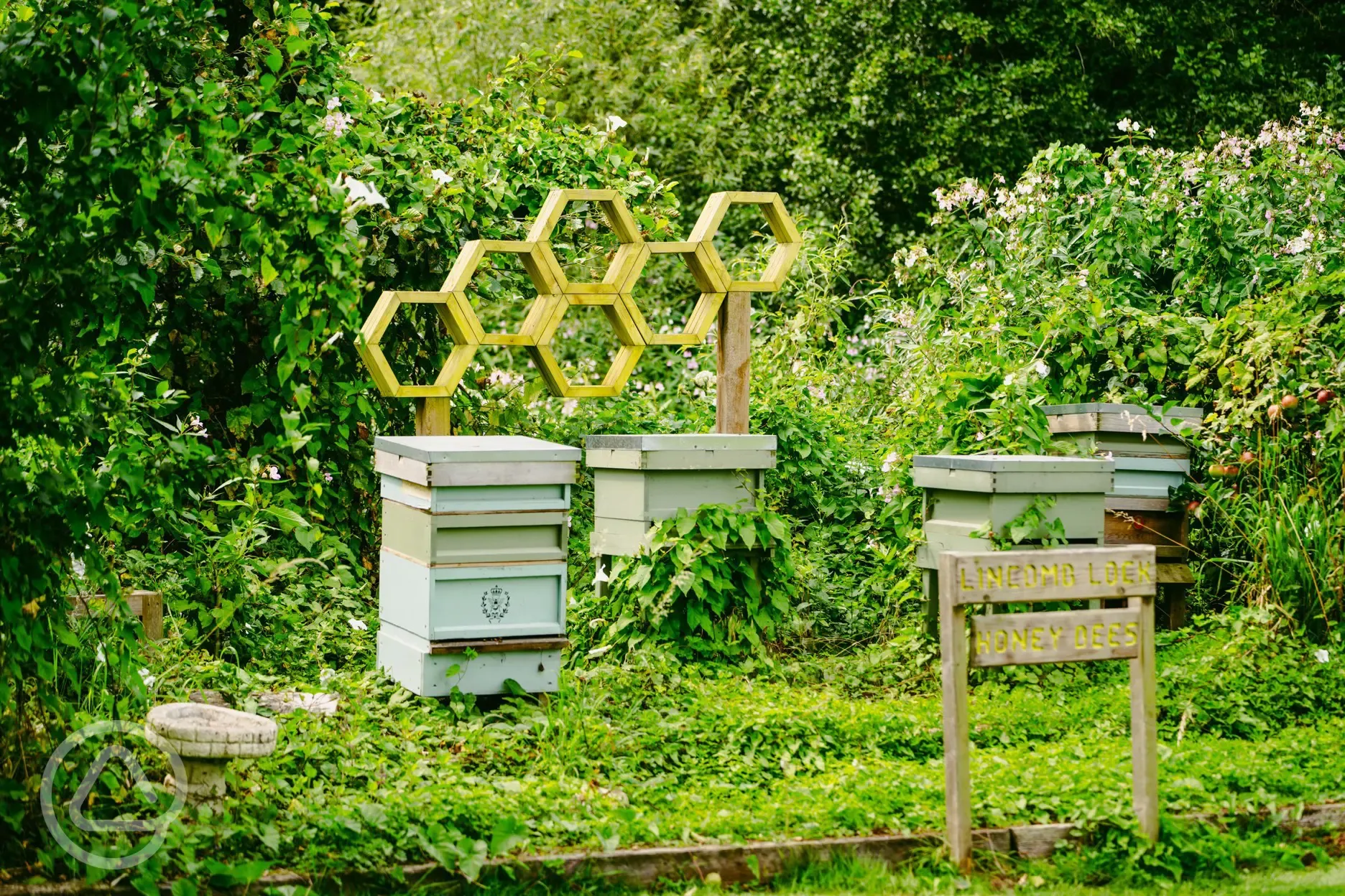 Hives for honey bees
