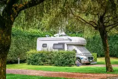 Electric hardstanding touring pitches with privacy hedging Electric hardstanding touring pitches with privacy hedging