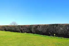 Non electric grass tent pitches (7m x 4m)