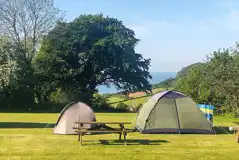 Non electric grass tent pitches (7m x 4m)