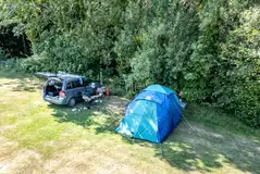 Non electric grass pitches in the meadow with shade from the trees Non electric grass pitches in the meadow with shade from the trees