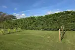 Small electric grass pitches for two-man and four-man tents (9m x 9m)