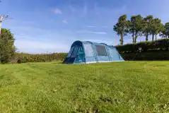 Tent on electric grass pitches at Cornish Coasts Caravan and Camping Park Tent on electric grass pitches at Cornish Coasts Caravan and Camping Park
