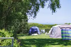 Secluded non electric grass pitches at Cornish Coasts Secluded non electric grass pitches at Cornish Coasts