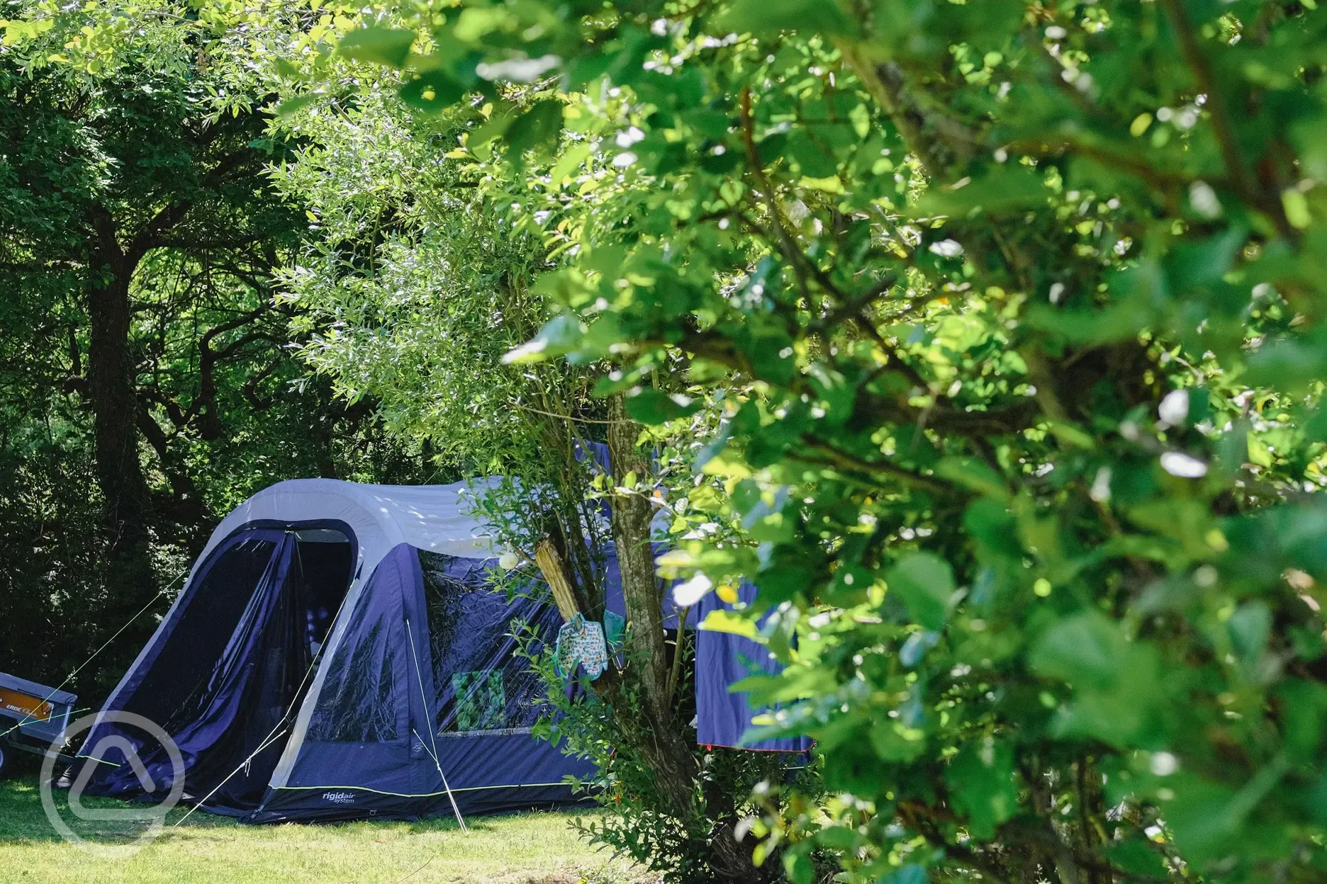 Tent on a secluded non electric grass pitch