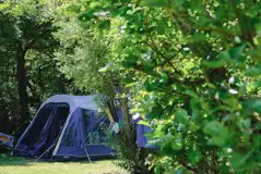 Tent on a secluded non electric grass pitch Tent on a secluded non electric grass pitch