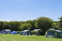 Large tents on non electric grass pitches at Cornish Coasts Large tents on non electric grass pitches at Cornish Coasts