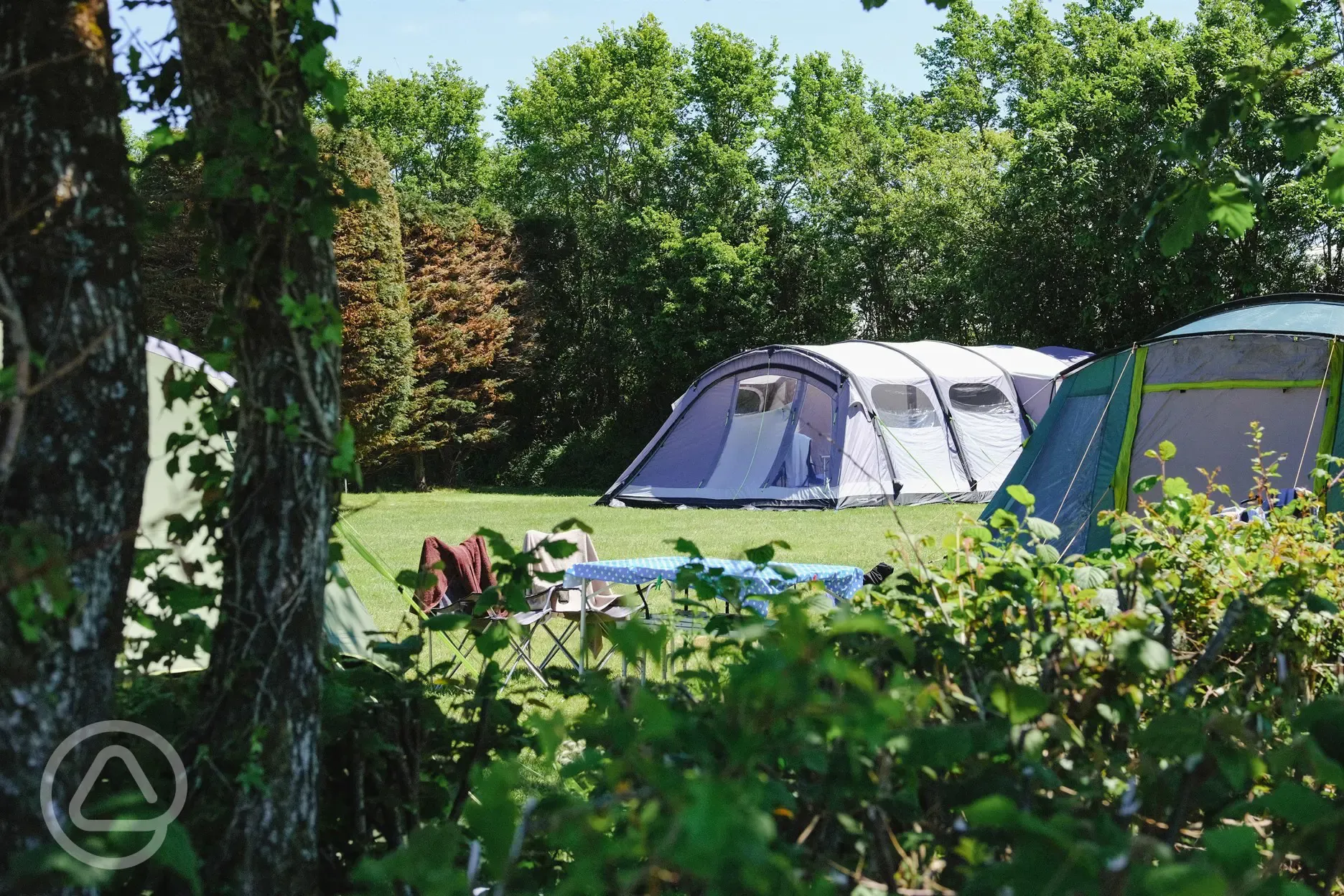 Tents on non electric grass pitches secluded with trees