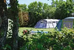 Tents on non electric grass pitches secluded with trees Tents on non electric grass pitches secluded with trees