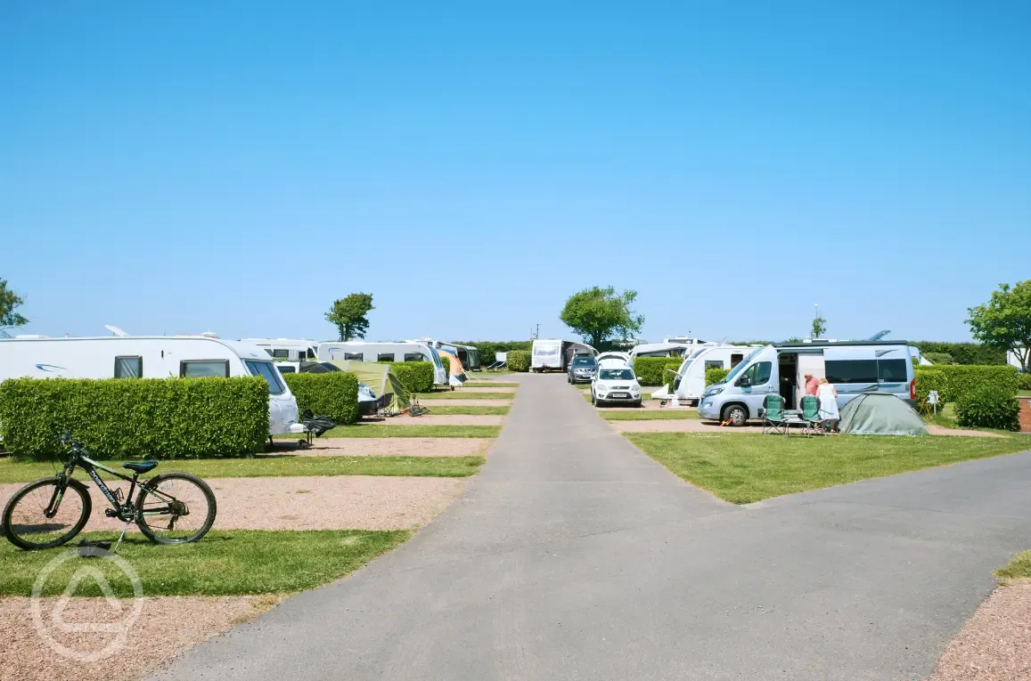 Tourers on hardstanding pitches with hedges dividing in between
