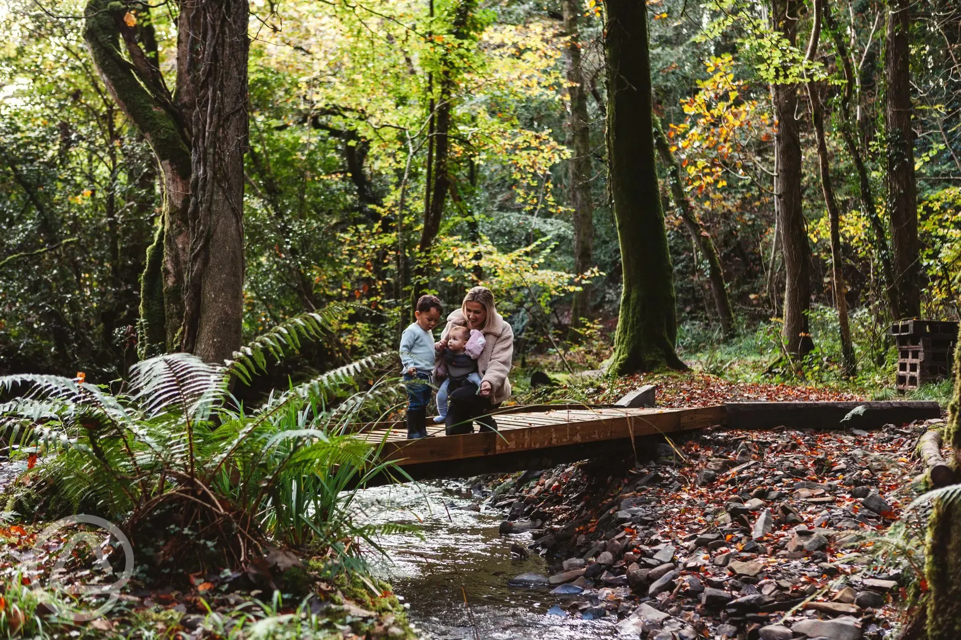 Forest walks in the woods on the Wooda Nature Trail