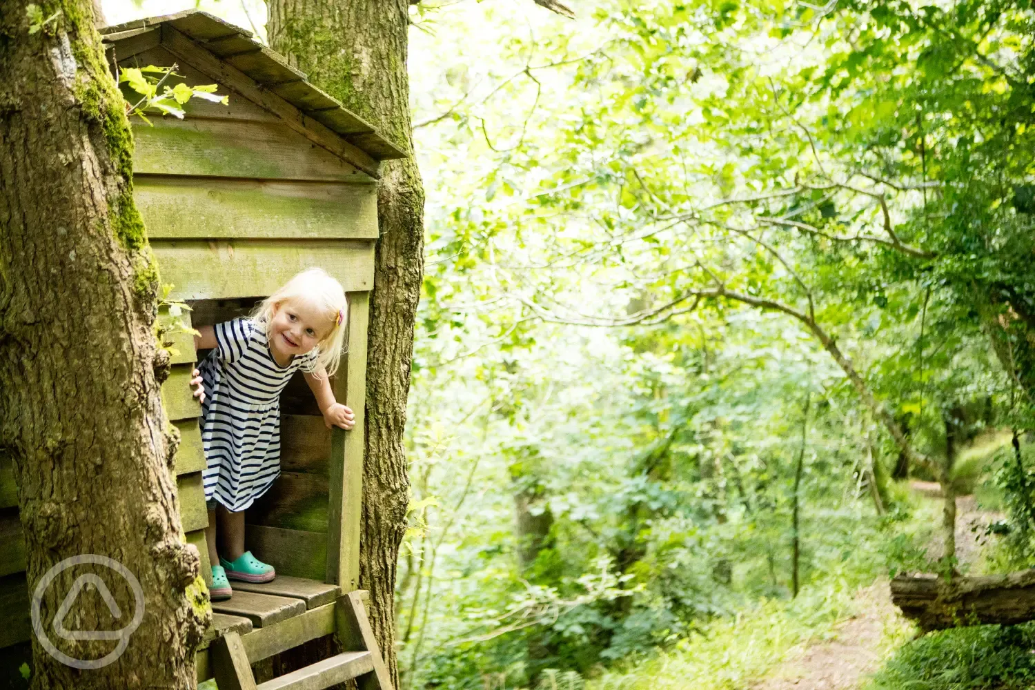 Woodland for kids to explore