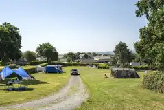 Mixture of non electric and electric grass pitches