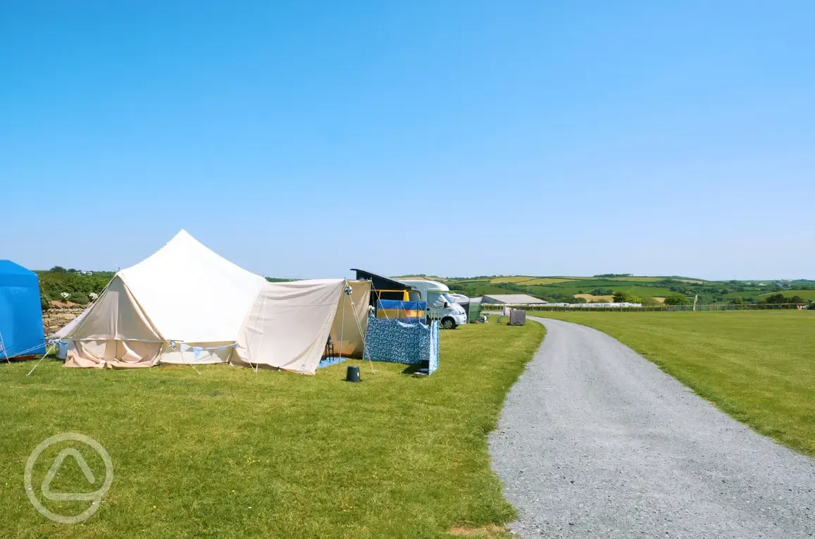 Upper Meadow non electric grass pitches, some with sea views 