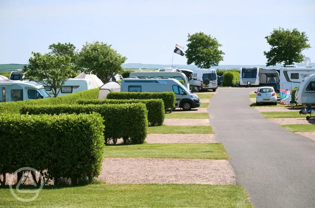 Tourers on hardstanding pitches with hedges dividing in between