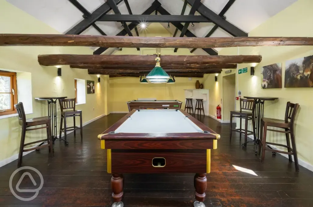Snooker table inside the Bar