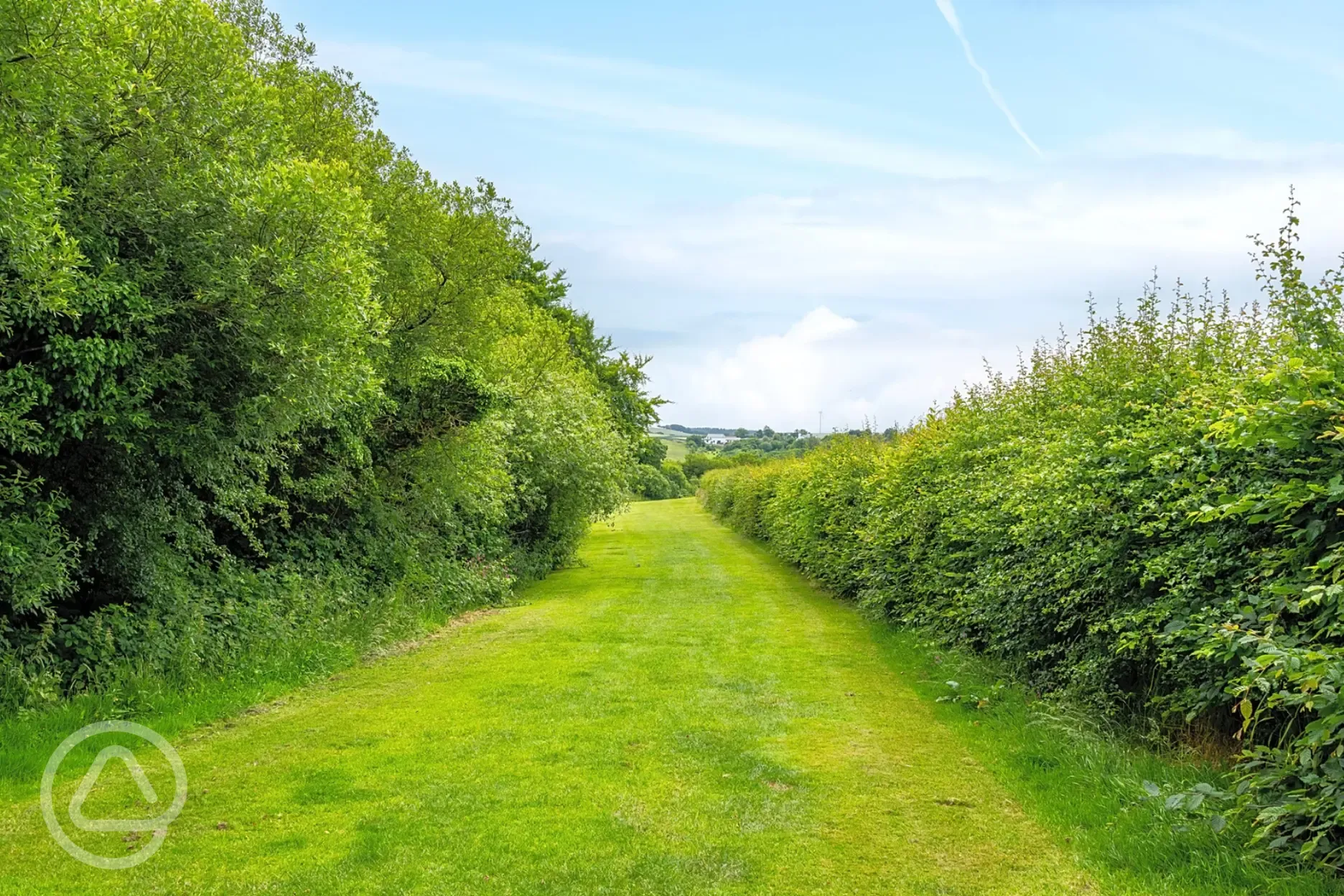 Dog walking area
