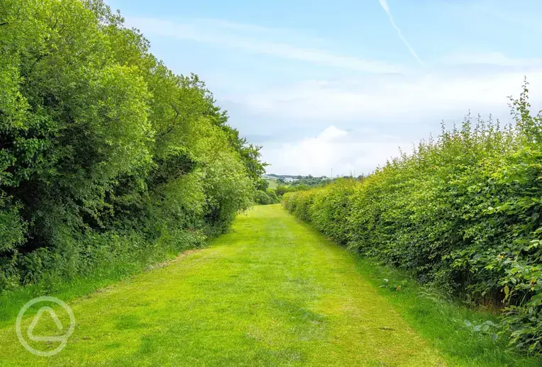Dog walking area