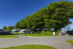 Electric hardstanding touring pitches surrounded by trees Electric hardstanding touring pitches surrounded by trees