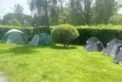 Camping pitches for tents measuring 7m x 7m