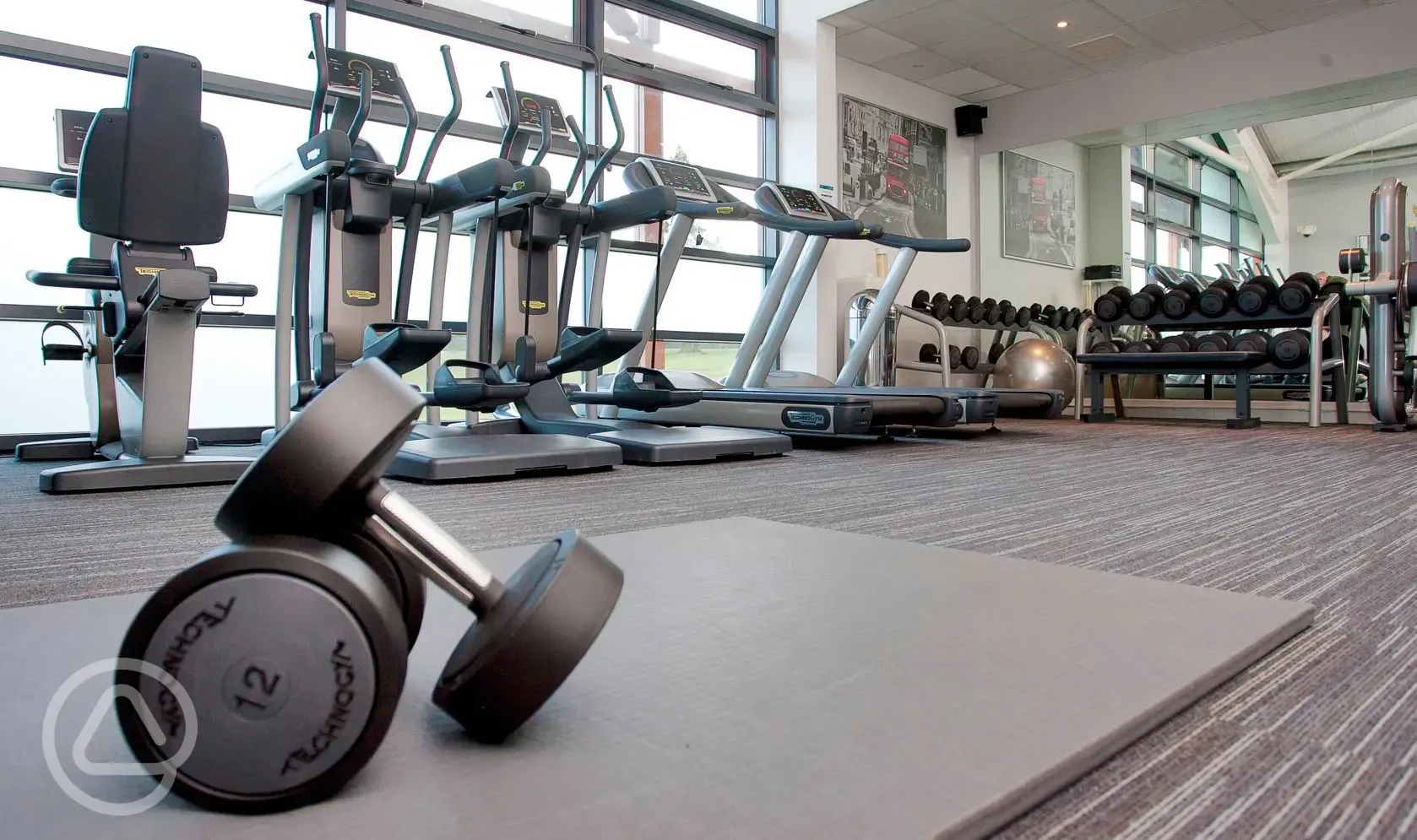 Gym with cardio machines, weight machines and free weights
